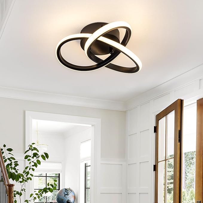 10 Inch Modern LED Ceiling Light with Remote Dimmable Black Flush Mount Fixture