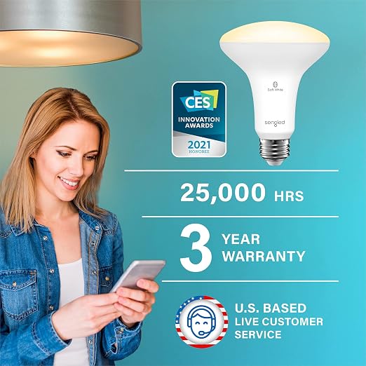 BR30 Smart Alexa LED Light Bulb 2 Pack Warm White Flood Light E26 No Hub Required