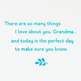 Hallmark Birthday Card for Grandma (So Many Things I Love About You) for Thinking of You, Congrats, Mother's Day, or Any Occasion