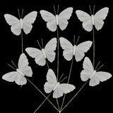 - Feather Butterfly Decorations For Wedding, Party, Home Decor, Gift Wrapping (Set Of 12)