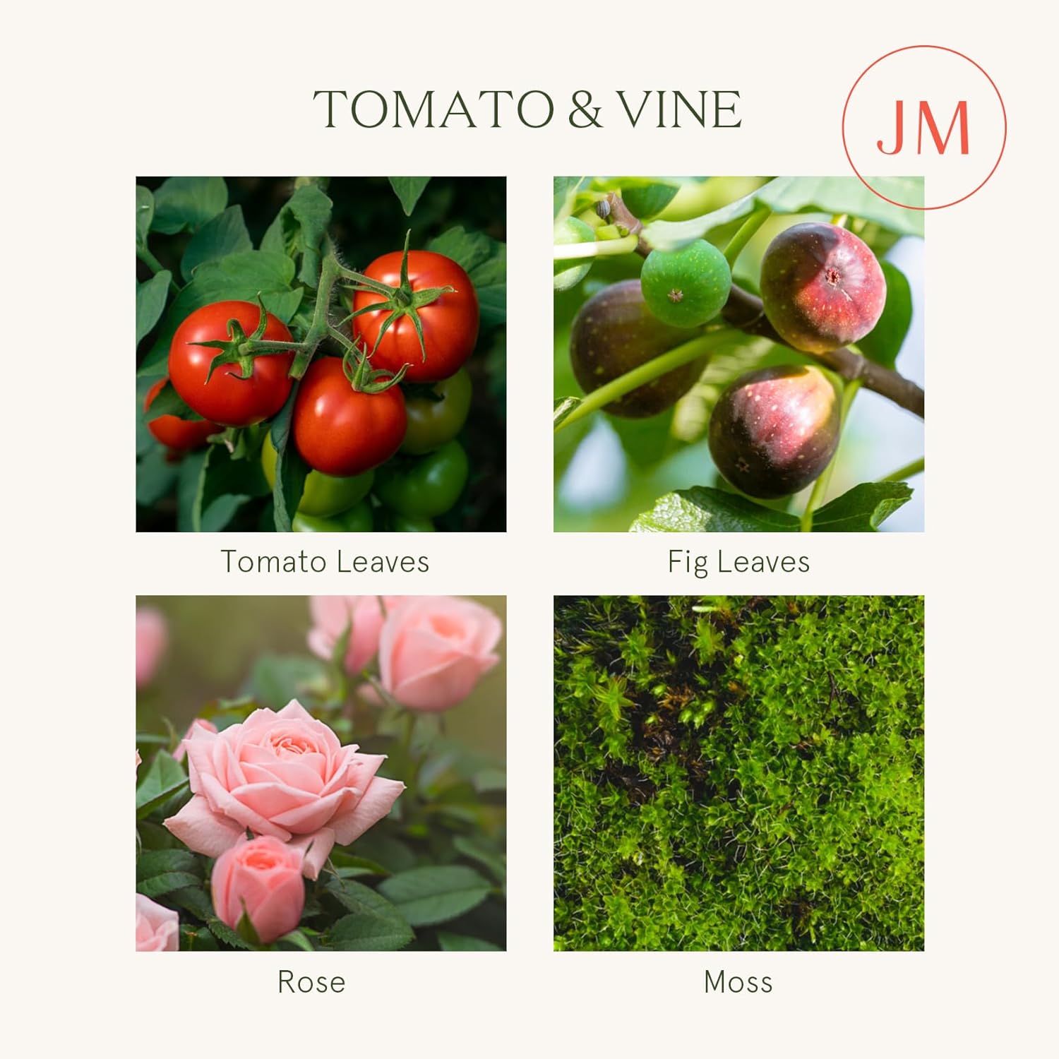 Tomato & Vine Candle, Scented Candles For Home, Candle Gifts For Women & Men, Glass Jar Candle, 40 Hours Burning Time, 7Oz