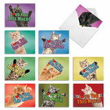 - 10 All Occasion Blank Cat Cards (4 X 5.12 Inch) - Cute Assorted Bulk Card Set - Cat Love You This Much M6610Ocb