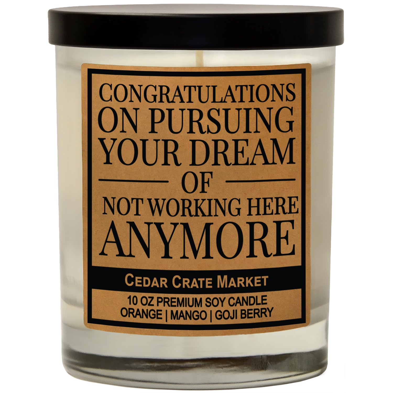 Funny Going Away Gifts For Coworkers, Boss, Women Men - Presents For Best Friend, New Job, Leaving, Retirement, Administrative Assistant, Promotion, Scented Birthday Candle, Soy Wax, Made In The Usa