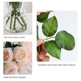 6Pcs Fake Austin Rose Peonies Flowers With Vase, Clear Glass Vase With Pink Real Touch Peonies Artificial Flowers Home Decor(Pink)