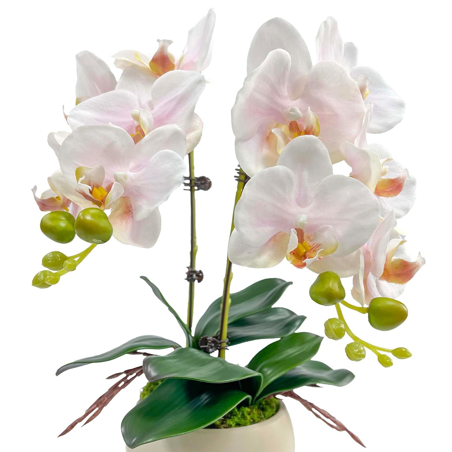 Realistic Artificial Phalaenopsis Orchid, 2 Stems Faux Orchid With 2 Rooted Leaves, No Maintenance Silk Flower With Bendable Stem For Home Office Decoration (Pale Pink)