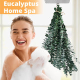 Dried Eucalyptus For Shower Hanging - 17'' Real Large Preserved Eucalyptus Stems Green Home Decor, 100% Made From Fresh Eucalyptus Leaves, Bathroom Shower Decor, Wedding, Diy (12Pcs)