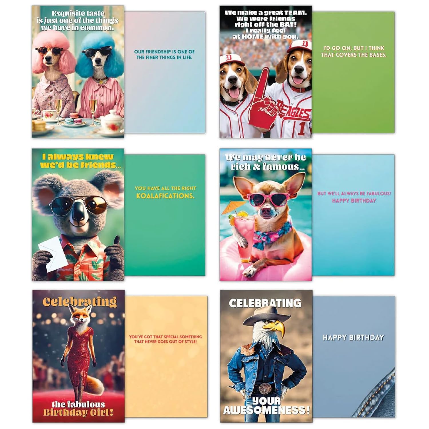 Leanin' Tree Wild Ones - Made In USA - 20 Assorted Cards with Envelopes All Occasion, Birthday Cards Funny Enough to Make You Laugh, Includes Birthday, Encouragement, Friendship, Thank You and More