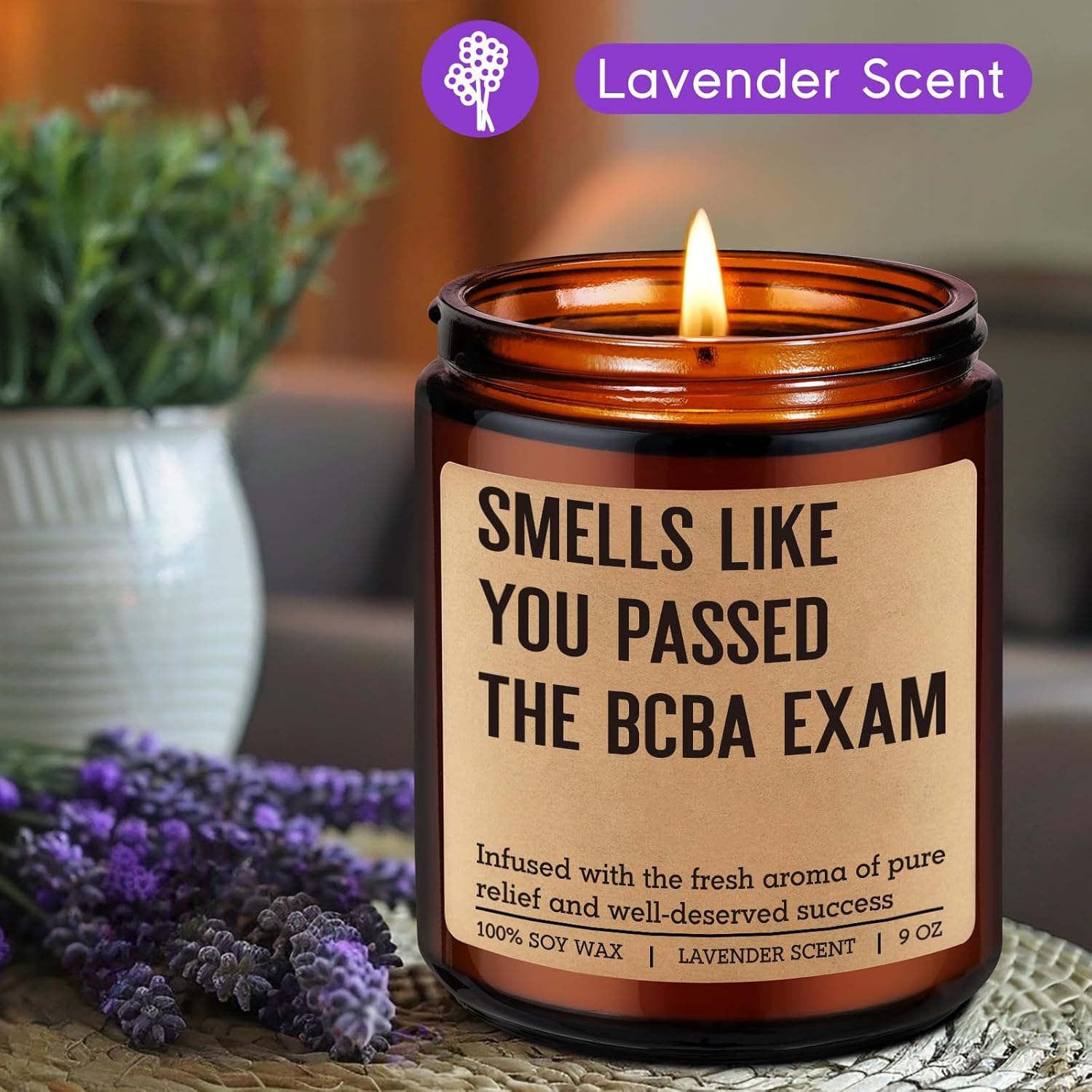Candle, Bcba Passed Exam Gifts, Bcba Therapist Gifts For Women Men, Funny Appreciation Graduation Presents For Future Behavior Analyst, Aba Rbt Grad, New Board Certified Behavior Analyst