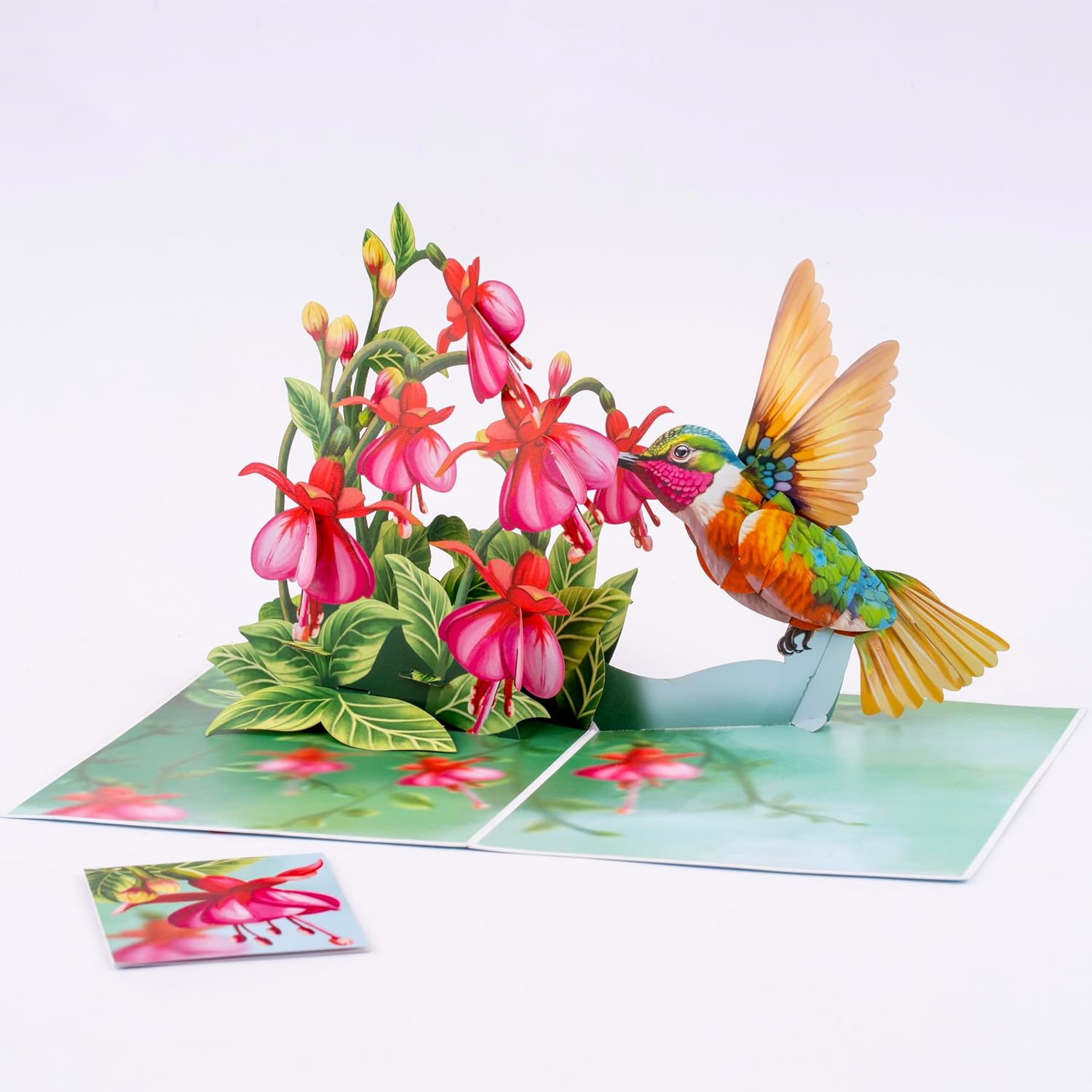 Humming Bird Pop Up Card, Fuchsia, 3D Popup Greeting Cards, Gift For Birthday, Mothers Day, Anniversary, Valentines, Thinking Of You, Thank You, 5X7 - Includes Envelope And Message Note