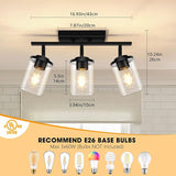 3 Light Adjustable Black Track Ceiling Light Semi Flush Mount with Glass Shades