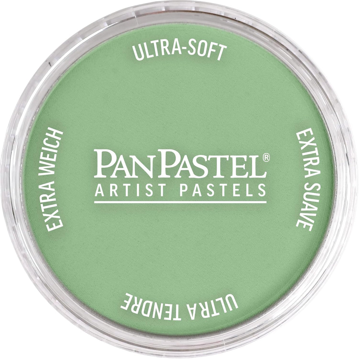 PanPastel Artist Pastels by GOLDEN, Chromium Oxide Green Light, 2.44” / 62mm Pan Diameter, Professional Artist Pastels, Unique Pan Format (cake-like)