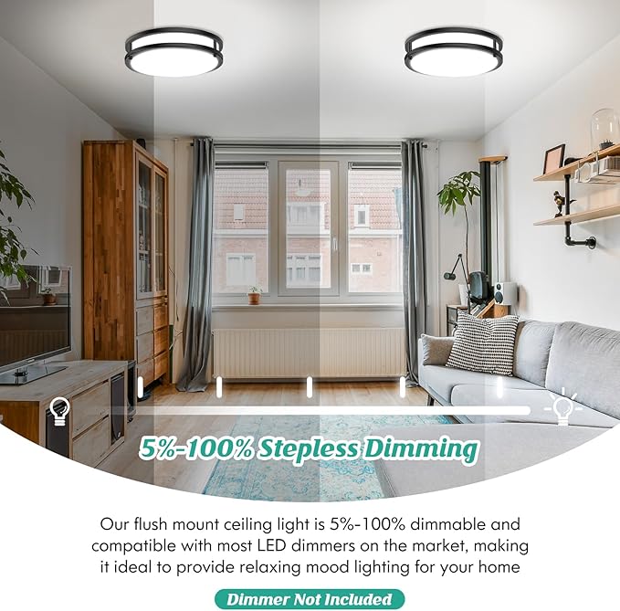 2 Pack 10 Inch Black LED Ceiling Lights 4000LM 5CCT Dimmable Flush Mount Fixtures