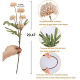 5Pcs Beige Faux Silk Mums Artificial Flowers, Bulk Fake Small Mini Chrysanthemums With Stems For Diy Champagne Wedding Centerpieces Floral Arrangements Vase Fillers Home Decorations
