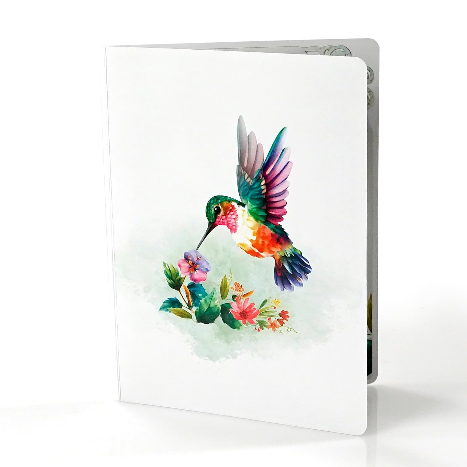 Cutpopup Hummingbird Birthday Card Pop Up, Mothers Day, 3D Popup Greeting Card (Hummingbird Purple Flower)