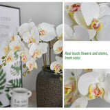 5 Pcs Artificial Phalaenopsis Flowers And 4 Bundles Leaves,Artificial Orchid Flowers With 4 Bundles Leaves Stem Plants For Home Wedding Decoration