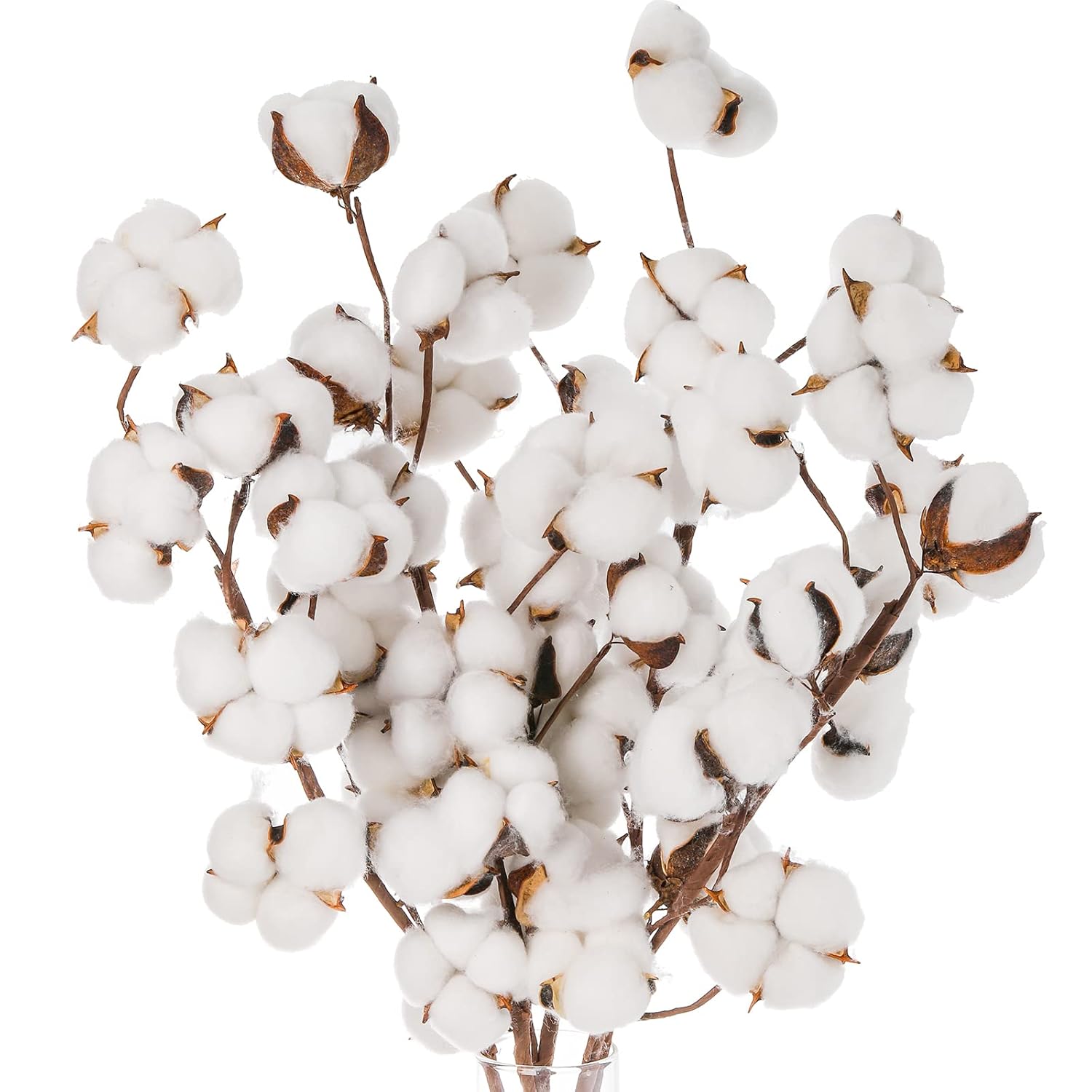 5 Pack Cotton Stems, 50Pcs Cotton Flower Bolls, 20 Inch Cotton Branch, Natural Cotton Floral Plant Stick For Farmhouse Decor, Vase Fillers