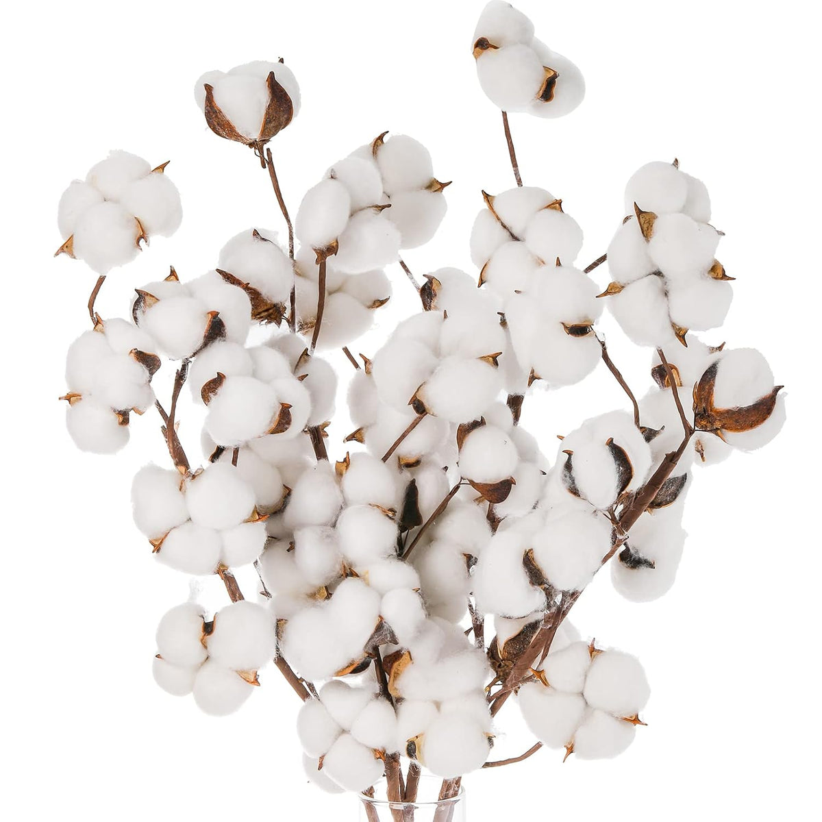 5 Pack Cotton Stems, 50Pcs Cotton Flower Bolls, 20 Inch Cotton Branch, Natural Cotton Floral Plant Stick For Farmhouse Decor, Vase Fillers