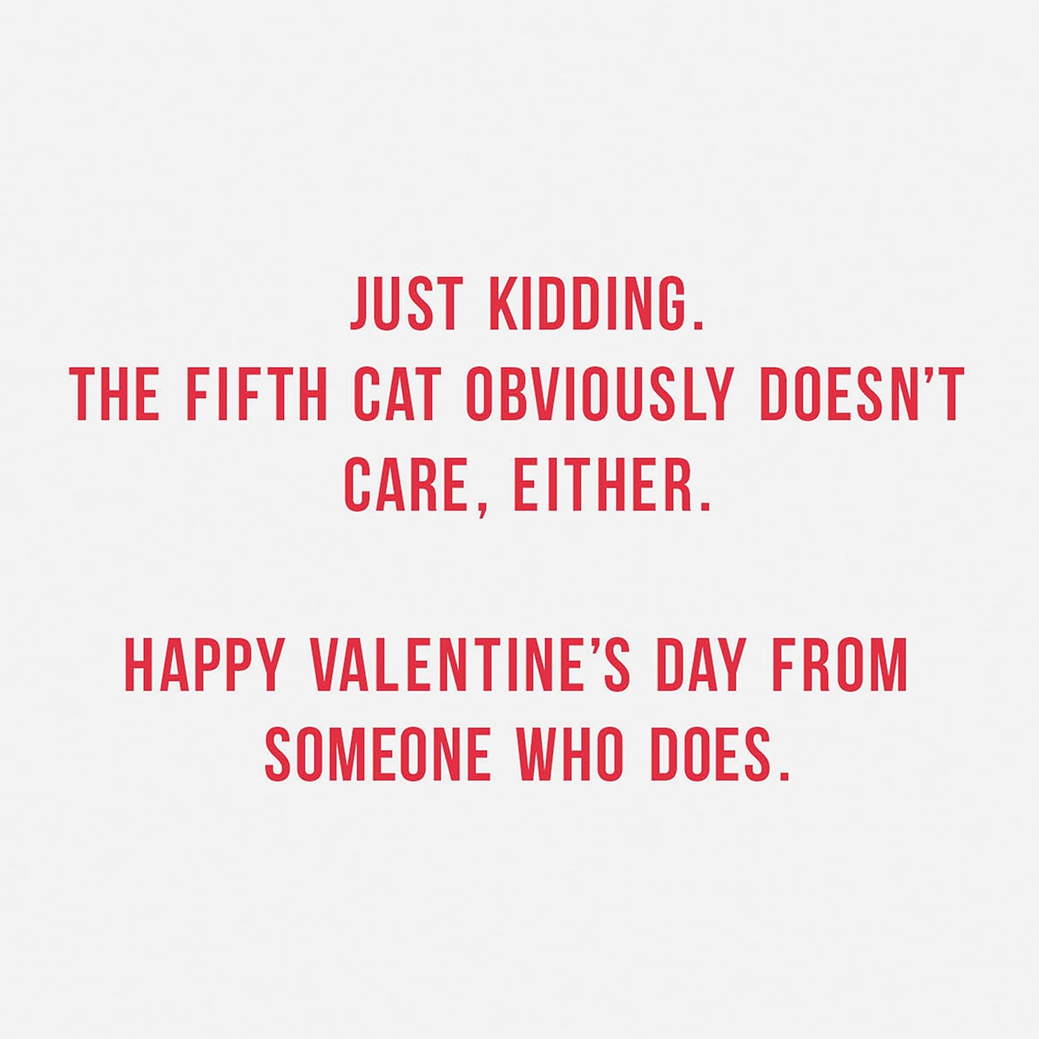 Hallmark Shoebox Pack of 4 Funny Valentines Day Cards (Cats Don't Care)