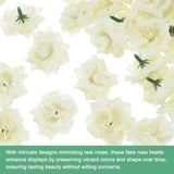 50-Pack Artificial Roses Heads, Silk Faux Rose Head For Wedding/Bouquet/Flower Wall/Diy Crafts/Party Decoration, Fake Bloom Flower Heads Buds [Cream White]