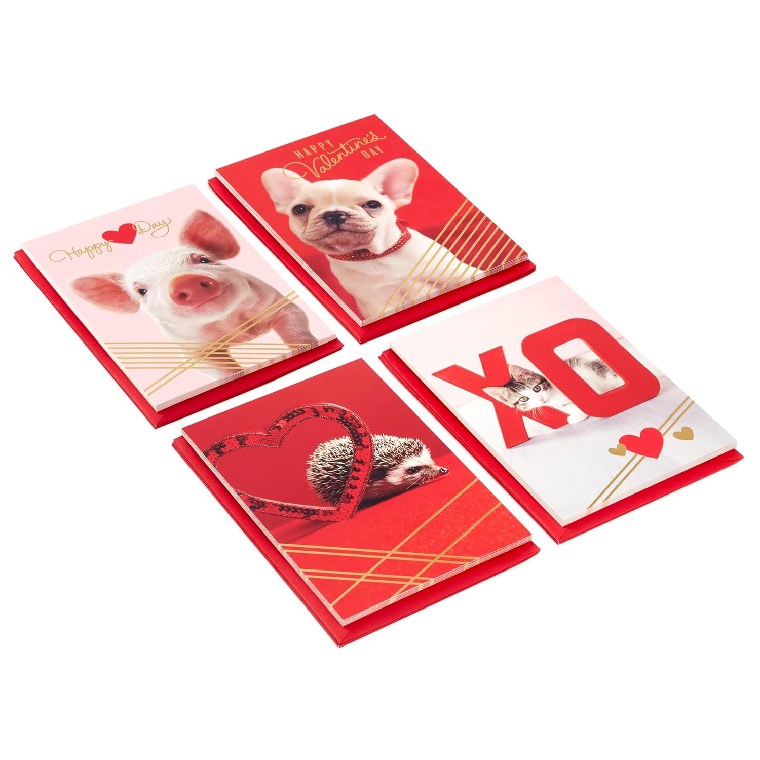 Hallmark Valentines Day Cards for Kids School, Puppy, Kitten, Pig, Hedgehog (24 Classroom Valentines with Envelopes)