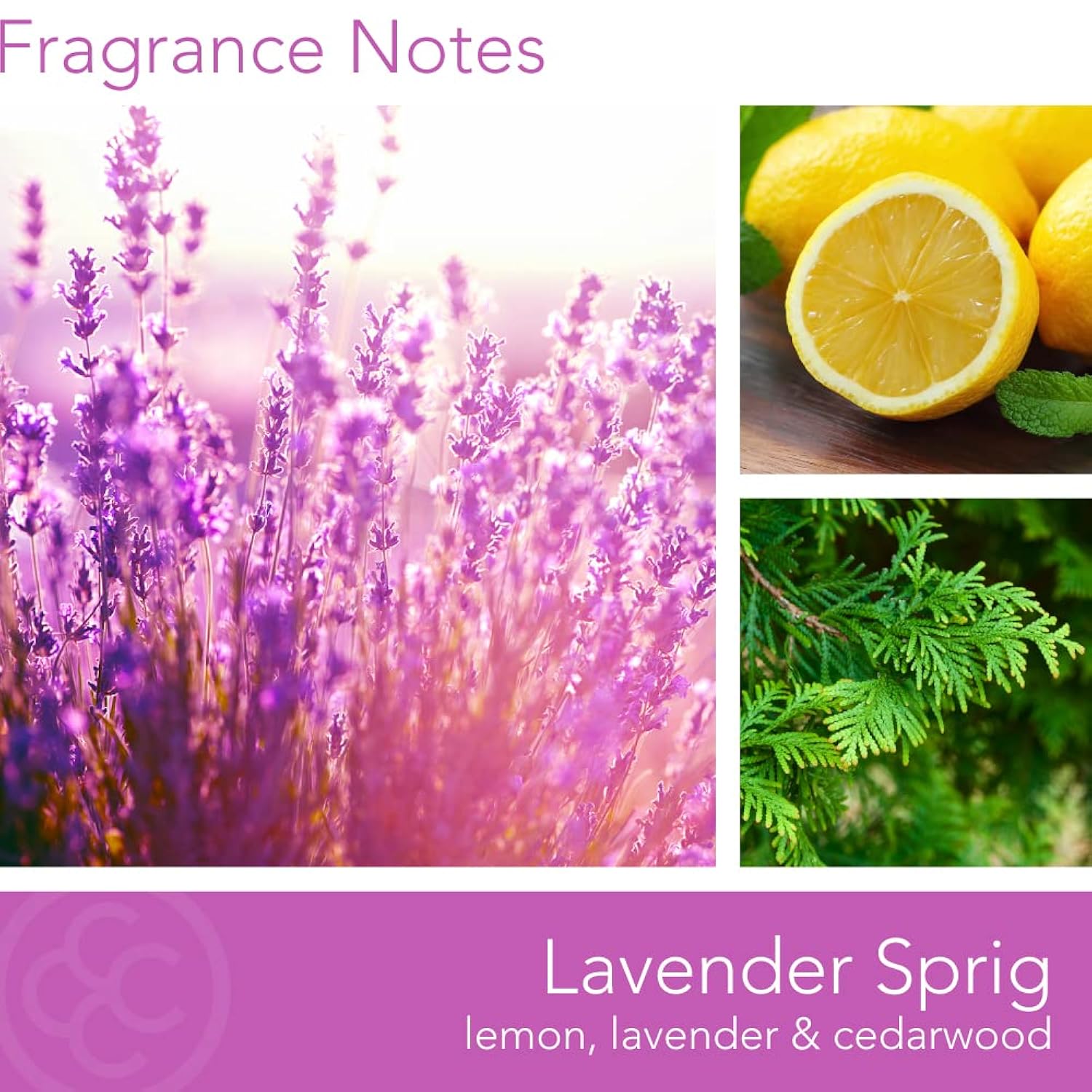 Colonial Candle Lavender Sprig Scented Jar Candle, Deco Collection, 3 Wick, 14.5 oz - Up to 60 Hours Burn, Multicolor