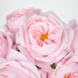 Pink Roses Peonies Artificial Flowers With Glass Vase Silk David Austin Roses Faux Flowers Arrangements With Clear Faux Water In Vase Fake Peonies Rose Peony Floral Bulk Bouquet Home Decor