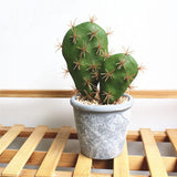 6 Pcs Artificial Cactus Faux Cactus Plant Flower Arrangement Green Plant Material For Home Office Decoration