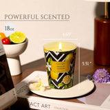 Homelights Large Jar Candle | 1-Wick Long-Lasting Scented Candles, 6.7Oz Natural Soy Wax Candle For Home Scented, Eclectic Mixed Styles Gifts For Women & Men, Amalfi Lemon