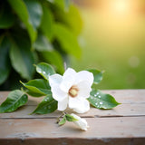 White Artificial Magnolia Fake Silk Flower Single Floral Home Decor Living Room Bedroom Garden Party Wedding Decoration In Pots Vase For Desk Table, Artificial Flowers, Home Décor