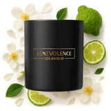 Bergamot & Jasmine Christmas Scented Candles | Soy Candles, Black Candle For Home | Holiday Candle Gifts For Women And Men | Home Fragrance | Aromatherapy | 8Oz, 45 Hour Burn
