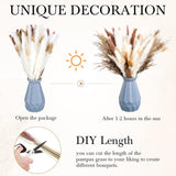 330 Pcs Dried Pampas Grass Decor, 17 Inch Dried Flower Plants Bulk White And Brown Pampas Grass Reed Bunny Tails Bouquet For Wedding Boho Home Table Decor Rustic Farmhouse Party Decoration