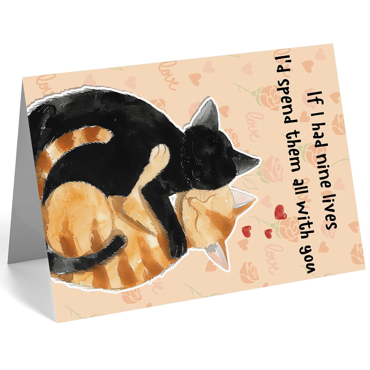 Cats Valentines Day Card, Funny Valentines Day Gifts For Him Her, Cute Anniversary Card & Gifts For Women Men, Lovely Valentines Day Card Gift For Husband Wife Boyfriend Girlfriend
