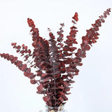 20Pcs Dried Red Eucalyptus Stems 17" Natural Fresh Eucalyptus Plant For Shower Hanging, Wedding Decor Home Decor Farmhouse Decor Diy Spring Decor,Green