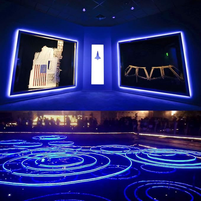 50FT Blue LED Neon Rope Lights Waterproof Connectable Plug In Strip Lights for Patio Bar