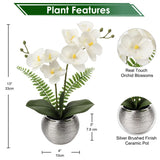 Fake Orchid Flowers 13'' White Orchids Artificial Flowers With Silver Ceramic Vase Faux Orchid For Home Office Decor Indoor