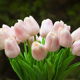 20 Pieces Pink Tulips Artificial Flowers Real Touch In Vase, Fake Tulips Arrangements With Vase And Faux Water For Home Decoration, Dining Table, Wedding Centerpieces (Pink)