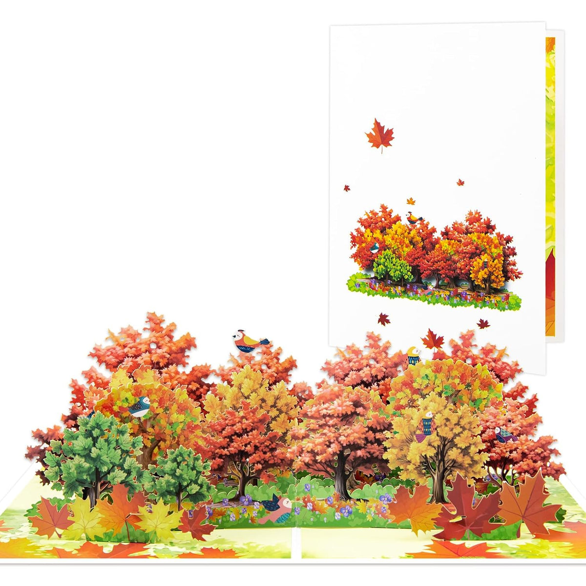Row Of Maple Trees Pop Up Paper Flower Bouquet Greeting Cards With Blank Note & Envelope, Ideal Gift For Celebrating Love, Holiday, Birthday, Anniversary, Special Moments, New Home