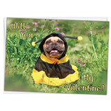 Will You (Bee) My Valentine Greeting Card Featuring A French Bulldog In A Bee Costume With Mailing Envelope