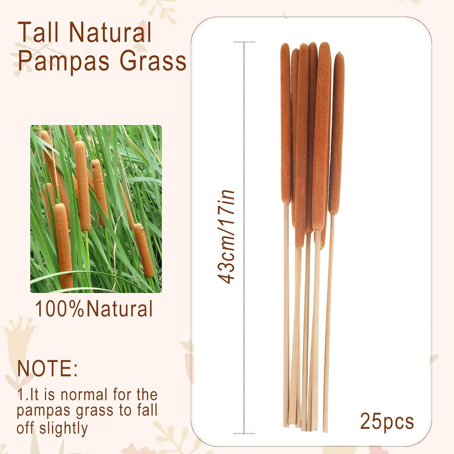 25 Pcs 17In Dried Natural Brown Cattails Flowers Large Brown Cattails Bundles Beautiful Bulrush Plants Dry Flower For Wedding Party Decoration Farmhouse Garden Decoration