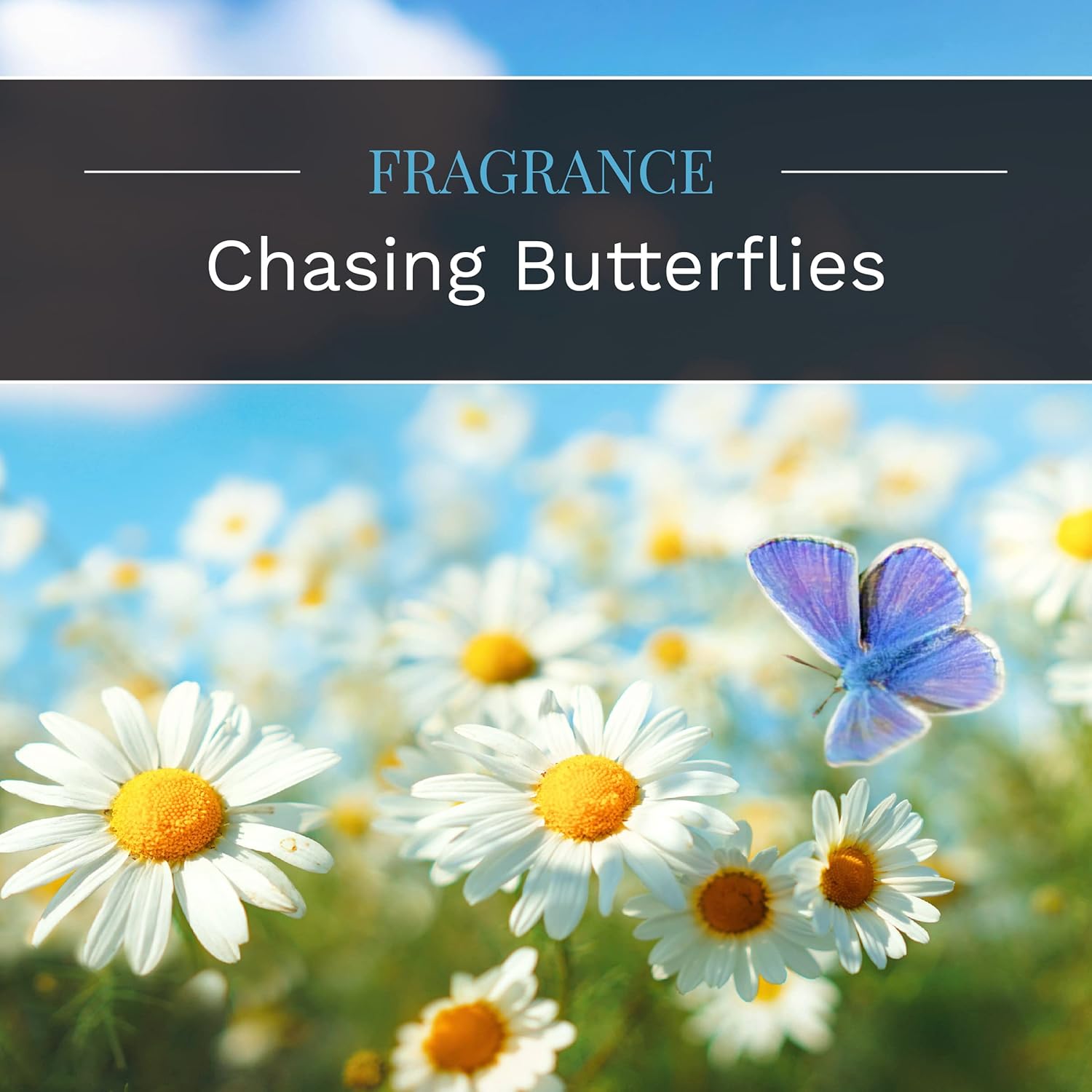Everday Chasing Butterflies Scented Candle, 18 Oz. Aromatherapy Candle, Off-White