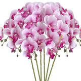 6 Pcs Artificial Orchid Flowers Artificial Phalaenopsis Flowers 32 Inch Stem Plants For Home Wedding Decoration (White Flower Purple Core)