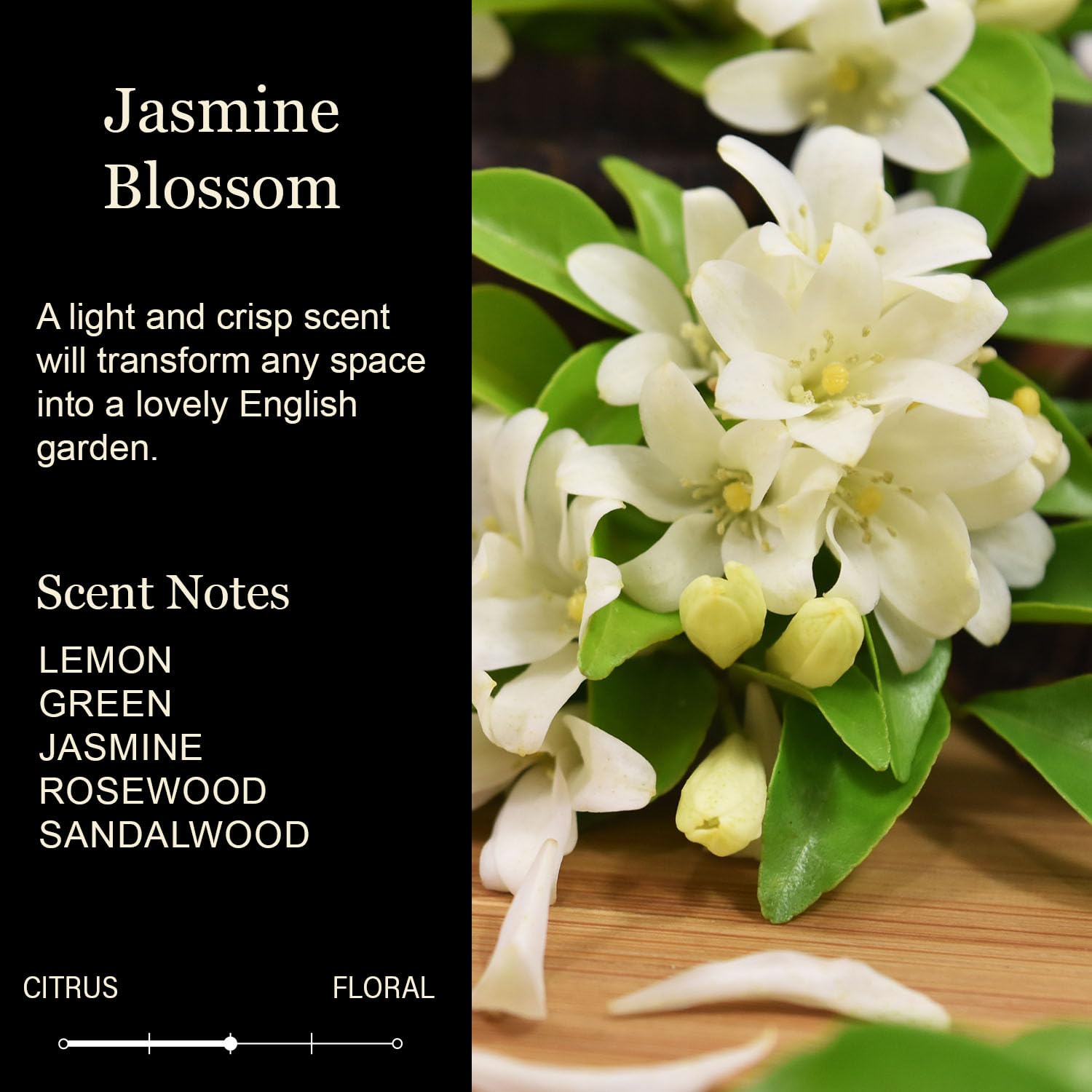 “I Love You More” Gifts For Her, Him, Wife, Husband - Jasmine Blossom Scented Soy Candle | Funny Best Friend Birthday Gift For Women, Men | Cute Adult Humor Candle