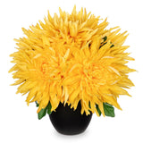 Artificial Mums Flowers In Vase Faux Chrysanthemum Silk Flowers Potted Plant Fake Plants & Flowers With Pot Floral Arrangements Bouquets Pincushion Spider Mum Flower Home Decor Yellow