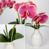 Pink Orchids Artificial Flowers 16'' Faux Orchids In Ceramic Vase Fake Orchid Arrangement For Home Office Room Table Centerpieces Kitchen Elegant Decor Indoor