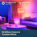 A21 Smart Light Bulbs 2 Pack 1600LM RGBWW WiFi Bluetooth 100W Equivalent Alexa Google Home Smart Bulb