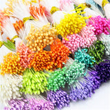 900Pcs Mini Flower Stamen Pistil Wedding Decoration Diy Artificial Cards Flowers Stamen, 1Mm