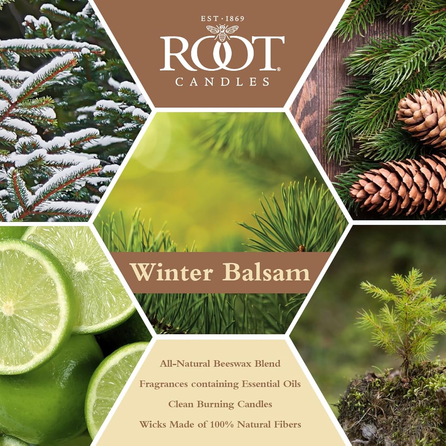 Root Candles Holiday Scented Candles Honeycomb Veriglass Premium Handcrafted Beeswax Blend Candle, Large, Winter Balsam