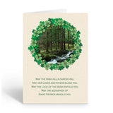 Stonehouse Collection | Assorted St. Patrick's Day Greeting Cards | A Variety of Irish Blessing Cards | Lucky Irish Cards | 12 Cards and 12 Envelopes (Assorted Variety)
