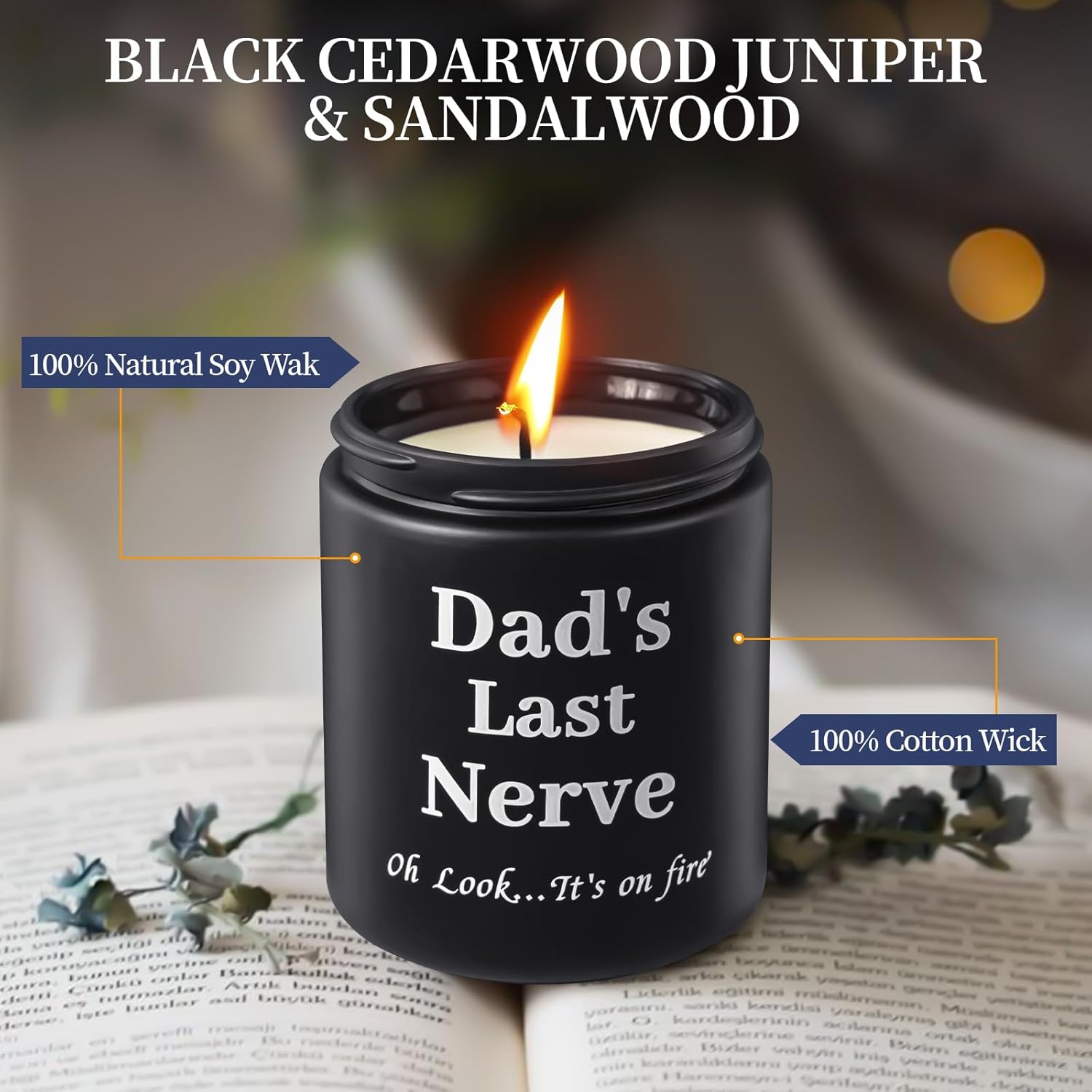 Dad Gifts From Daughter Son,Funny Fathers Day Birthday Thanksgiving Christmas Gifts For Men, Best Dad Ever Gift, 9Oz Sandalwood Scented Candle Gift For Men