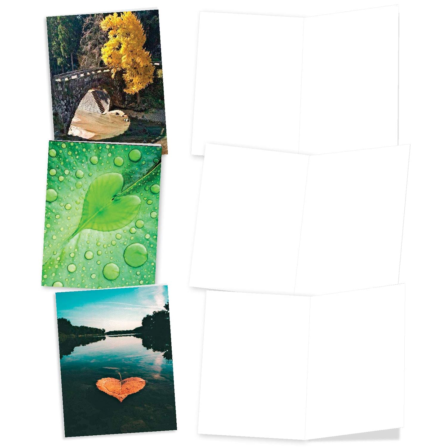 - 10 Blank Heart Note Cards Boxed (4 X 5.12 Inch) - All Occasion Heartfelt Love Card Assortment - Heartscapes Am6838Ocb-B1X10